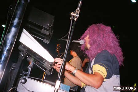 Cromosoma Z